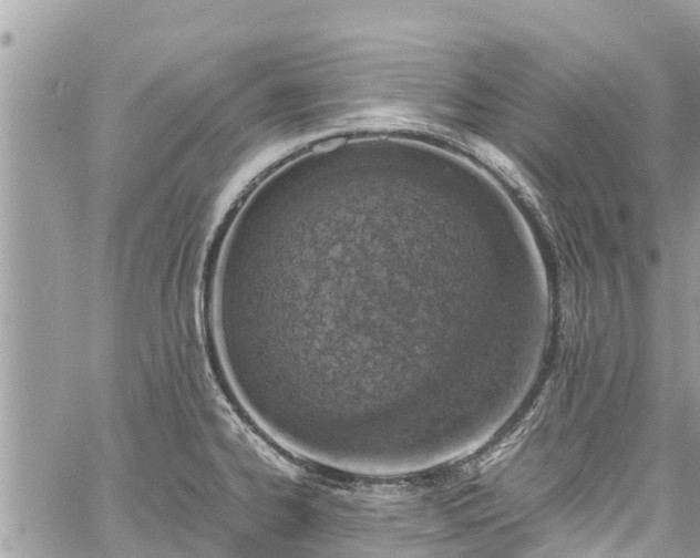 X0000060771334200511141247