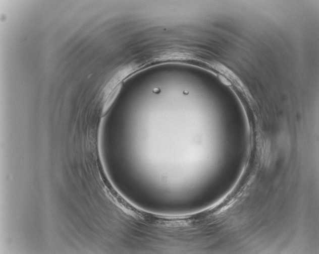 X0000060771337200511141247