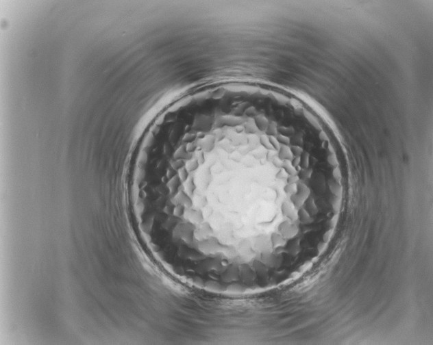 X0000060771341200511141247