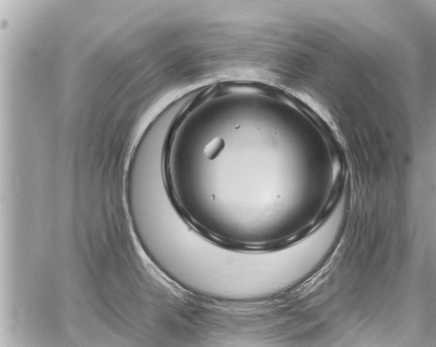 X0000060771342200511141247