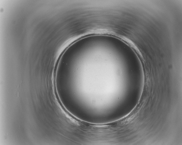 X0000060771343200511141247