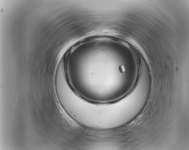 X0000060771344200511141247