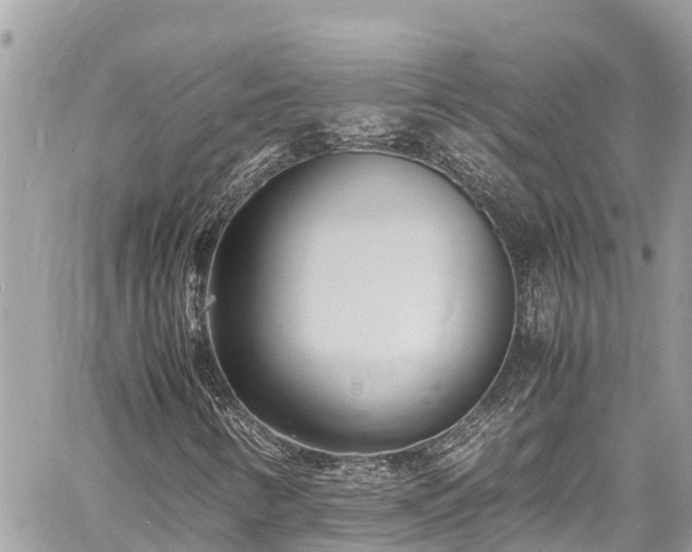 X0000060771346200511141246