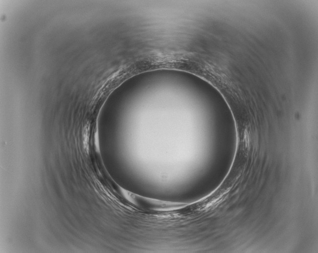 X0000060771348200511141246