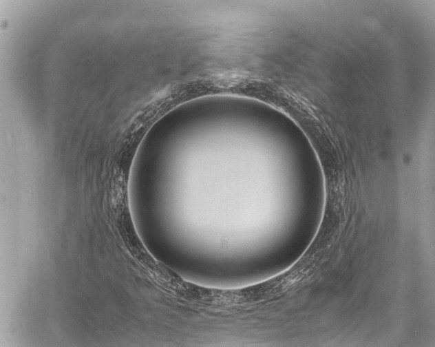 X0000060771349200511141246