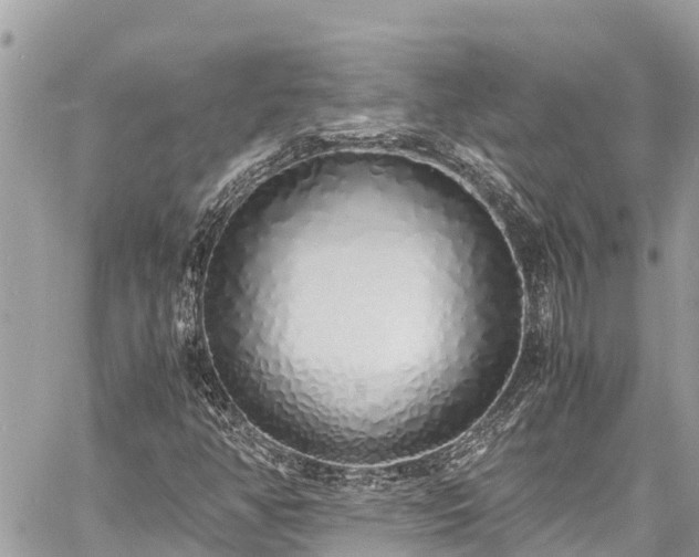 X0000060771350200511141246