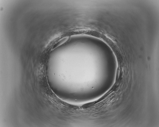 X0000060771351200511141246