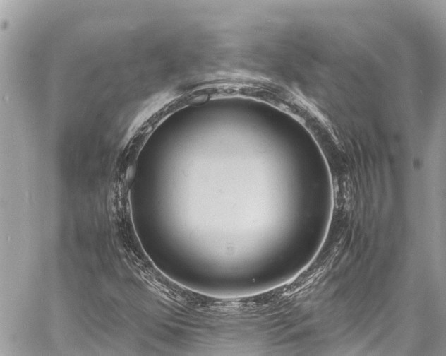 X0000060771352200511141246