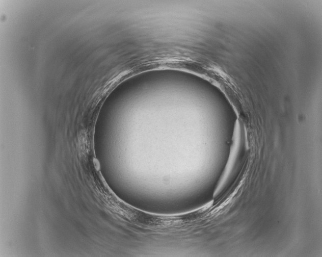 X0000060771353200511141246