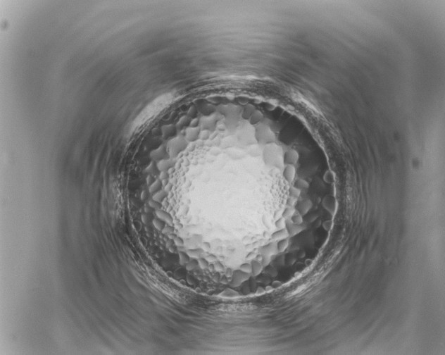 X0000060771354200511141246