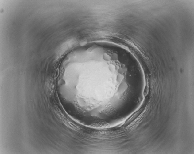 X0000060771355200511141246