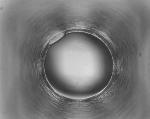 X0000060771356200511141246