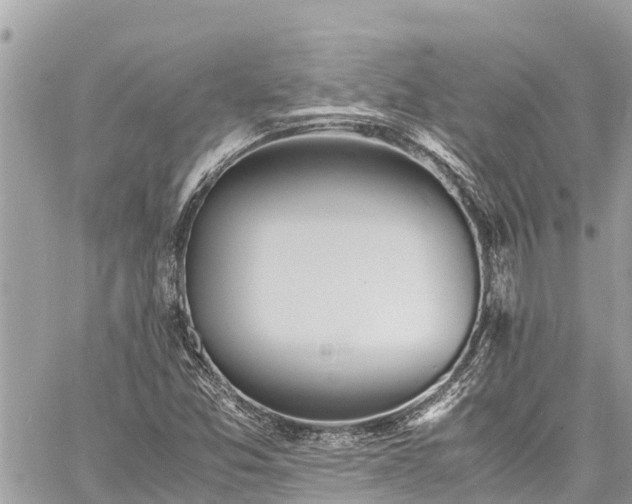 X0000060771357200511141246