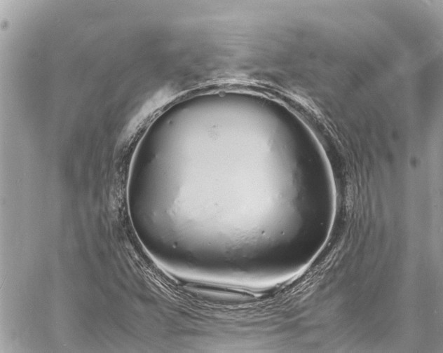 X0000060771359200511141246