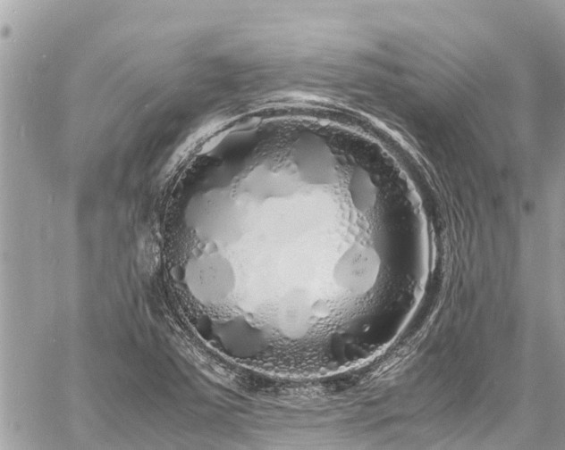 X0000060771363200511141246