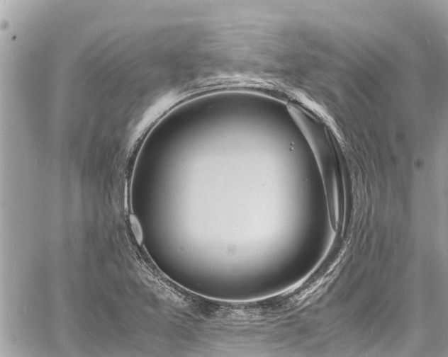 X0000060771365200511141246