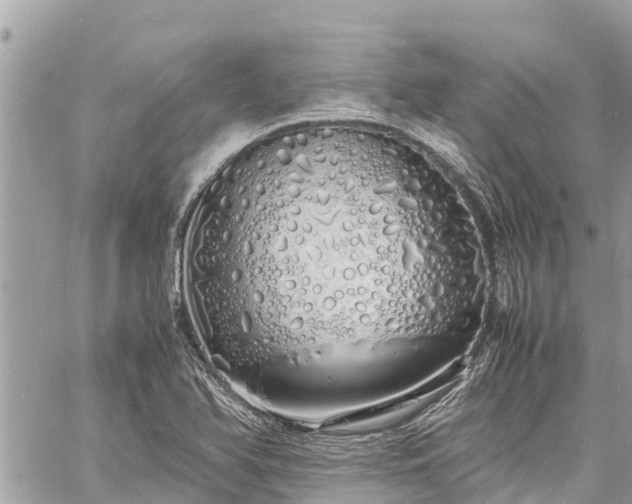 X0000060771366200511141246