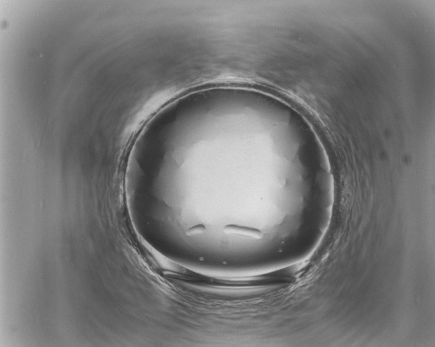 X0000060771367200511141246