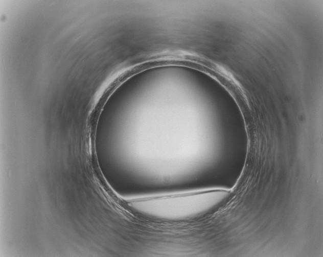 X0000060771368200511141246