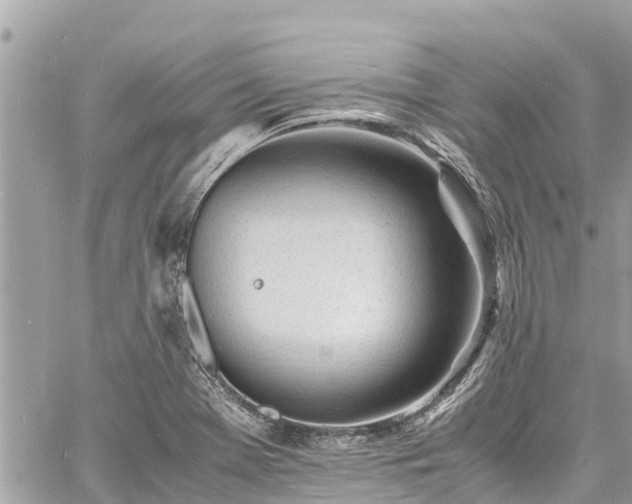 X0000060771369200511141246