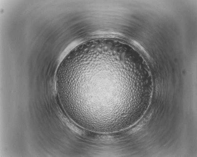 X0000060771370200511141246