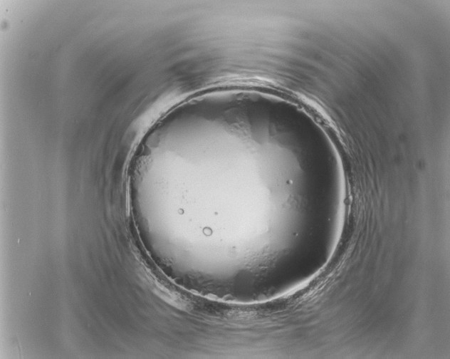 X0000060771371200511141246