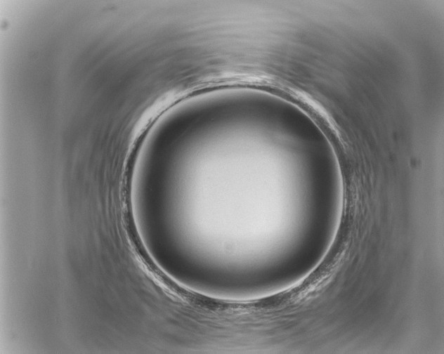 X0000060771373200511141246