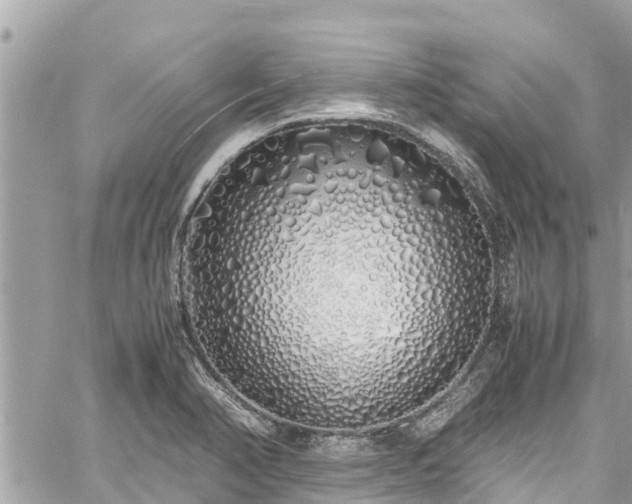 X0000060771374200511141246