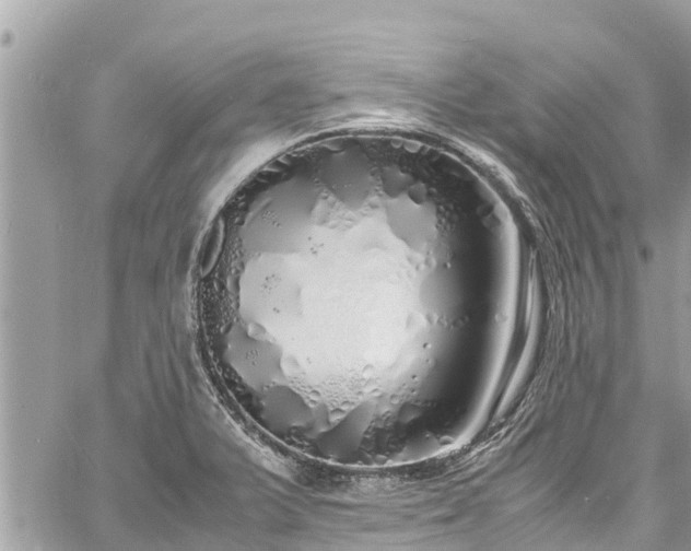 X0000060771375200511141246