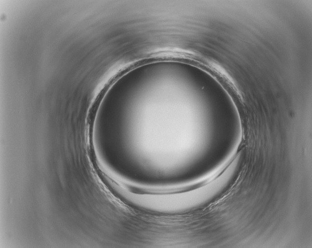 X0000060771376200511141246