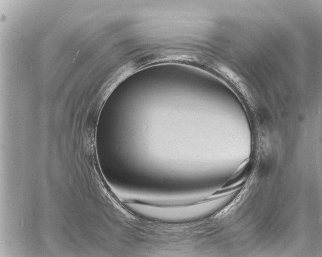 X0000060771377200511141246