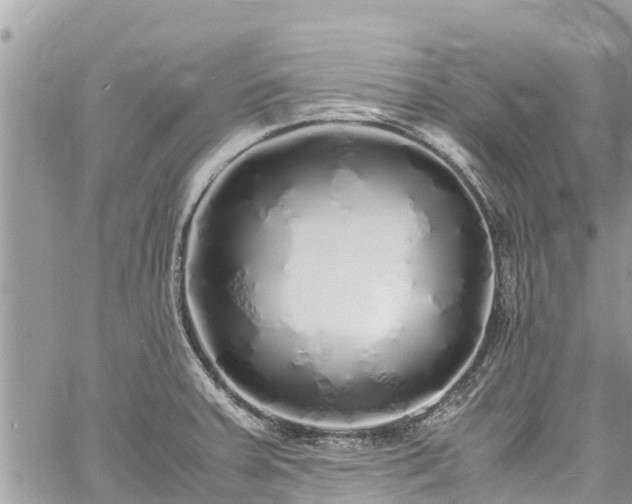 X0000060771379200511141246