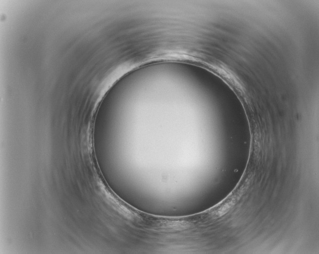 X0000060771382200511141246