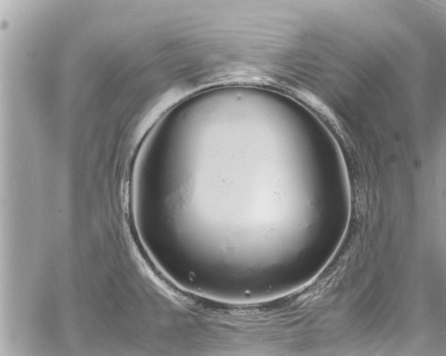 X0000060771383200511141246