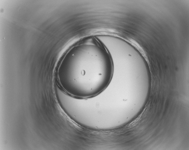 X0000060771384200511141246