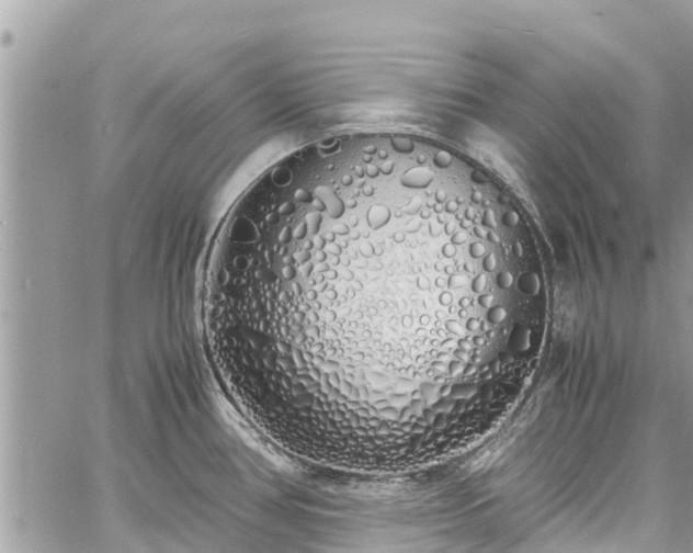 X0000060771386200511141246