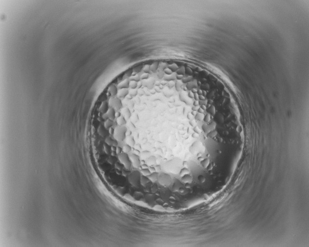 X0000060771387200511141246