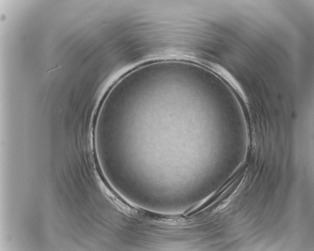 X0000060771388200511141246