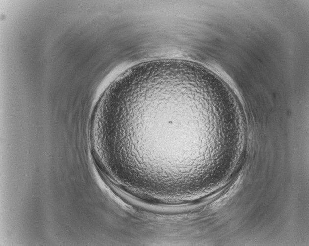 X0000060771389200511141246