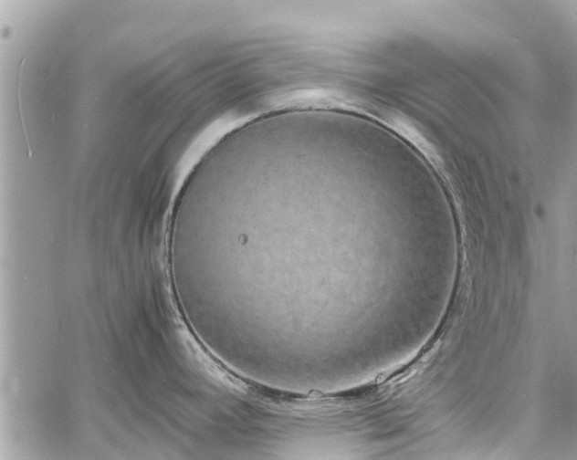 X0000060771392200511141246