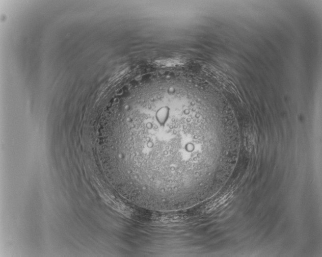 X0000060771393200511141245