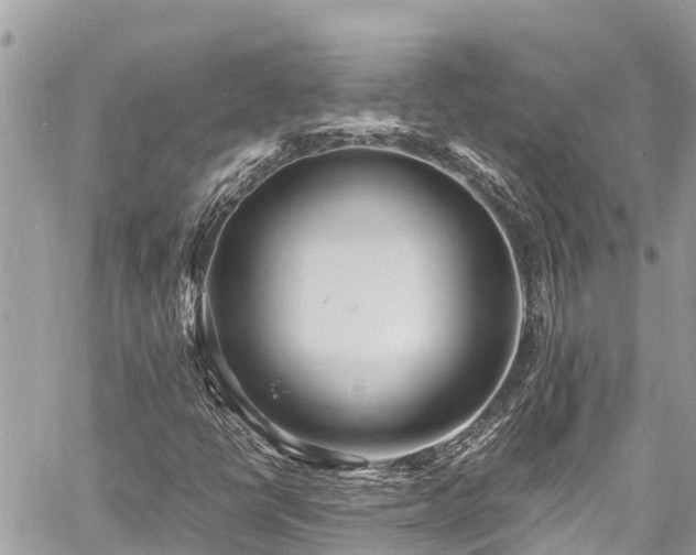 X0000060771398200511141245