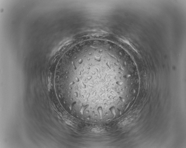 X0000060771399200511141245