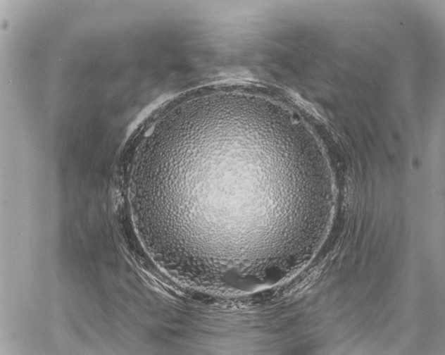 X0000060771400200511141245