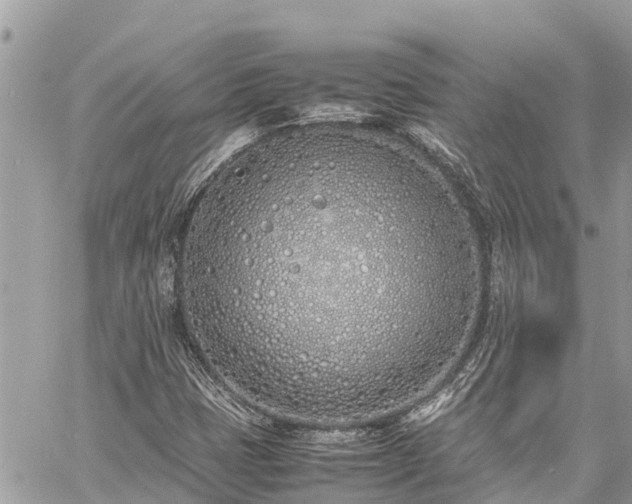 X0000060771401200511141245