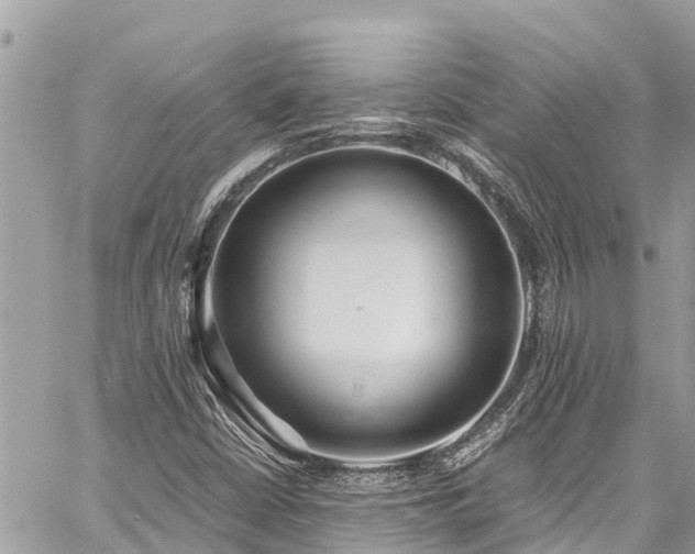 X0000060771402200511141245