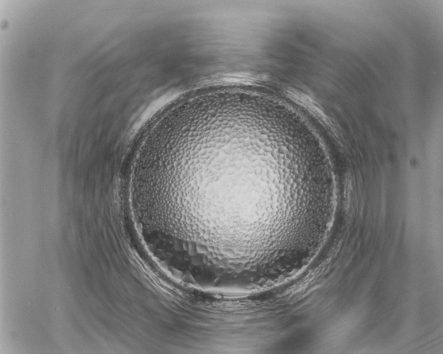 X0000060771404200511141245