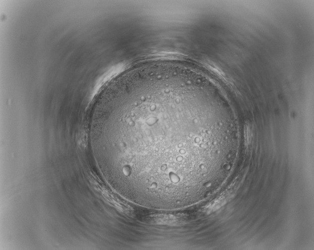 X0000060771405200511141245