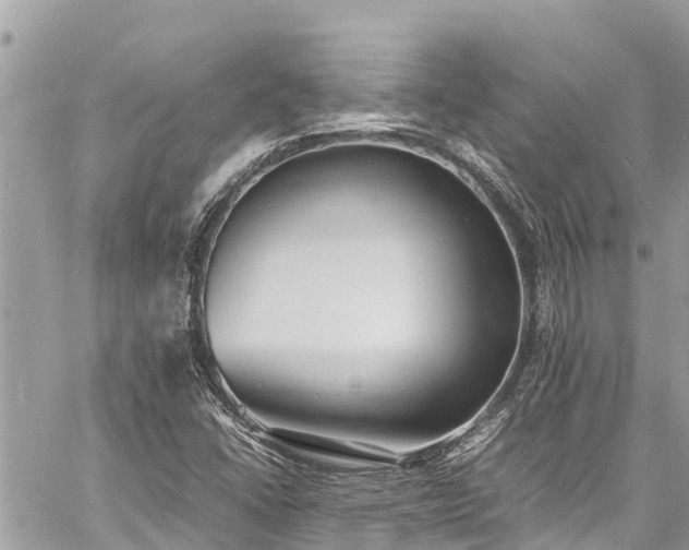 X0000060771406200511141245