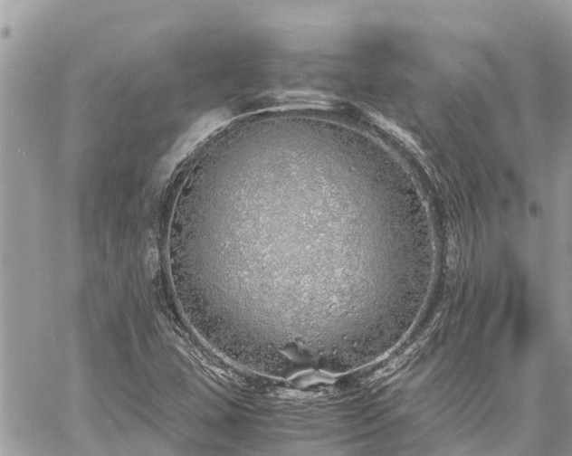 X0000060771407200511141245